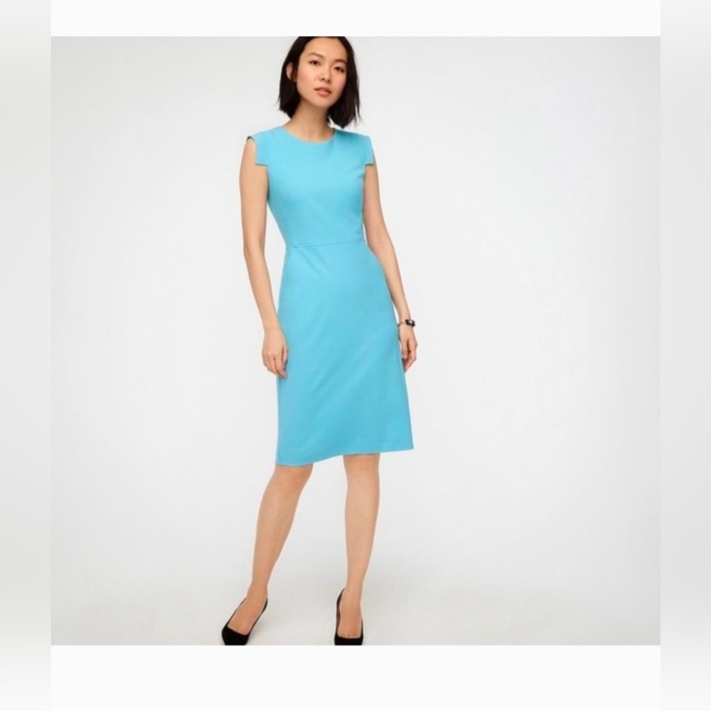 JCrew Resume Dress